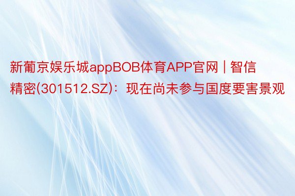 新葡京娱乐城appBOB体育APP官网 | 智信精密(301512.SZ)：现在尚未参与国度要害景观