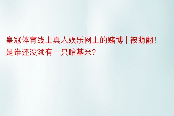 皇冠体育线上真人娱乐网上的赌博 | 被萌翻！是谁还没领有一只哈基米？