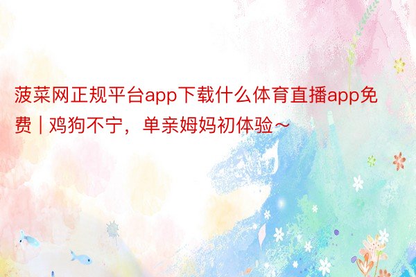菠菜网正规平台app下载什么体育直播app免费 | 鸡狗不宁，单亲姆妈初体验～