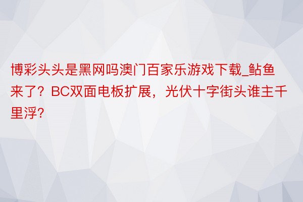 博彩头头是黑网吗澳门百家乐游戏下载_鲇鱼来了？BC双面电板扩展，光伏十字街头谁主千里浮？