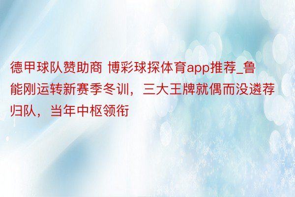 德甲球队赞助商 博彩球探体育app推荐_鲁能刚运转新赛季冬训，三大王牌就偶而没遴荐归队，当年中枢领衔